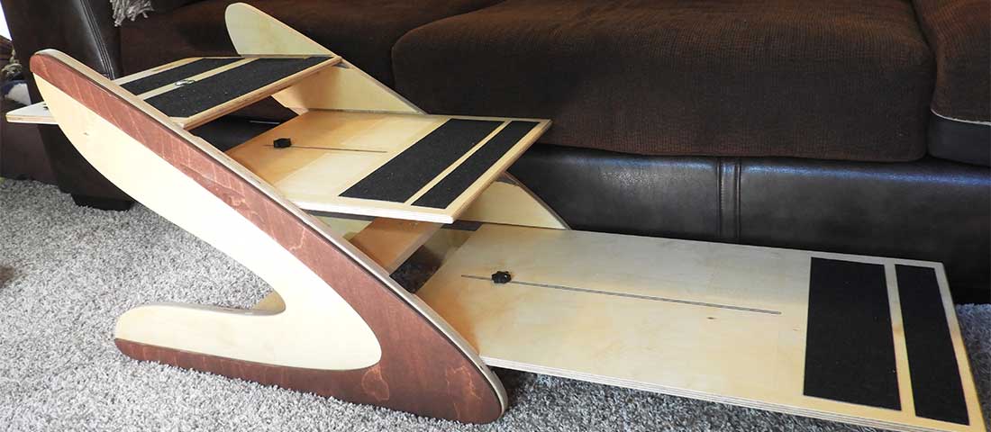 Dog steps for big dogs