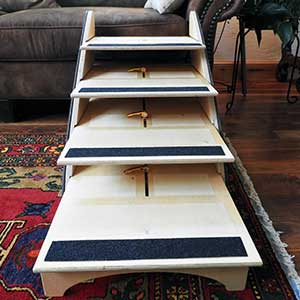 front view of dog steps